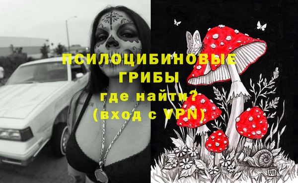 MDMA Premium VHQ Беломорск