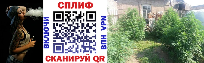 Каннабис VHQ  omg ссылки  Кодинск 